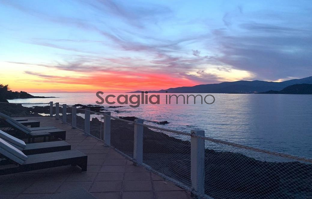 Agence immobilière de Scaglia Immo