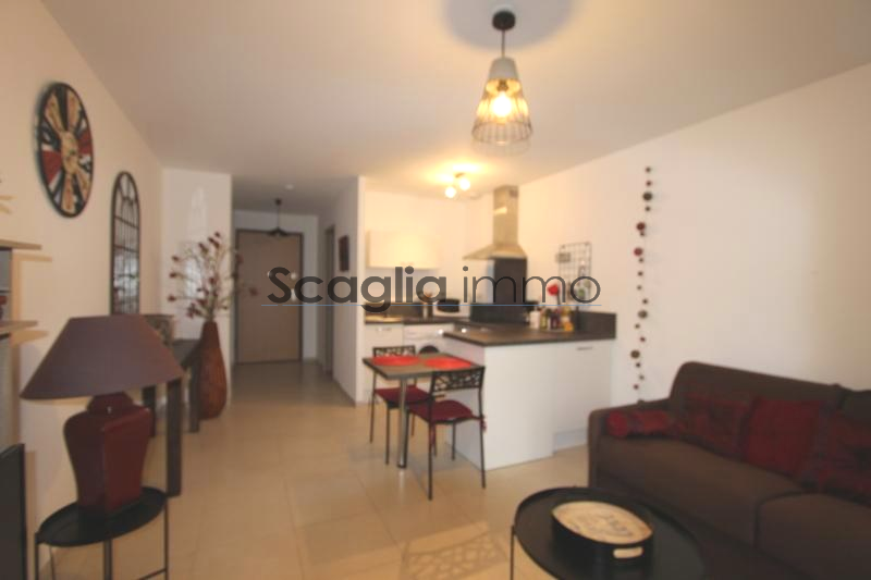 Agence immobilière de Scaglia Immo