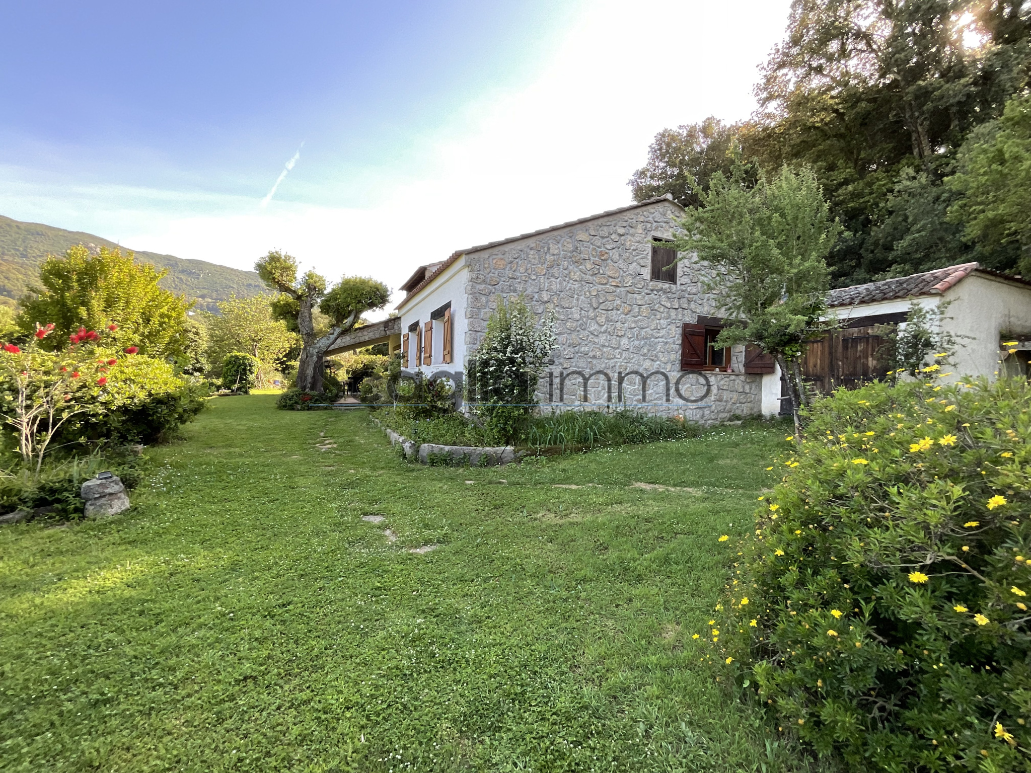 Agence immobilière de Scaglia Immo
