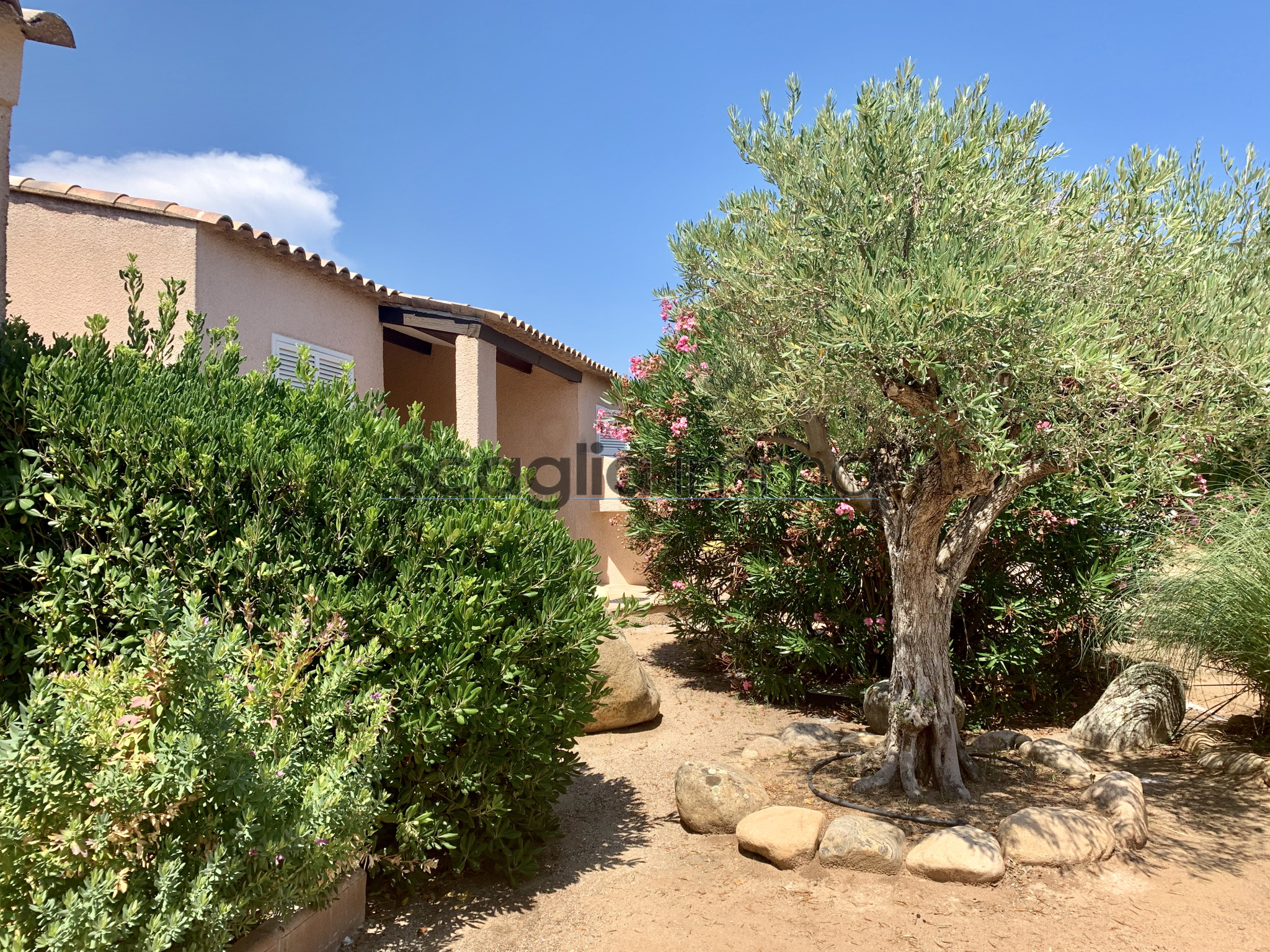 Achat Maison En Corse Vente Villa Corse Scaglia Immobilier
