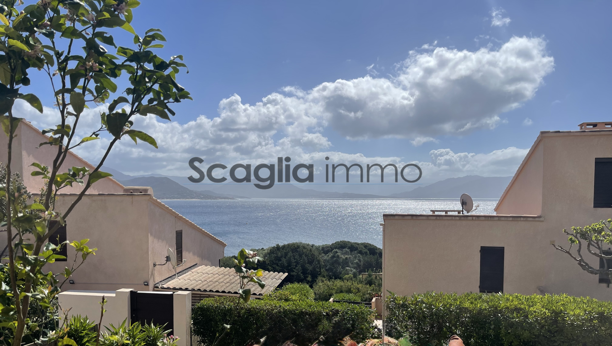 Agence immobilière de Scaglia Immo