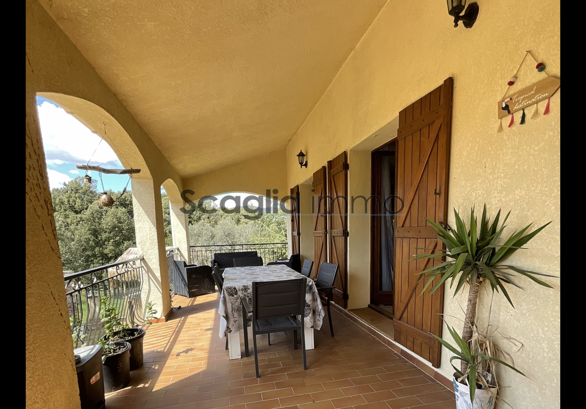 Agence immobilière de Scaglia Immo
