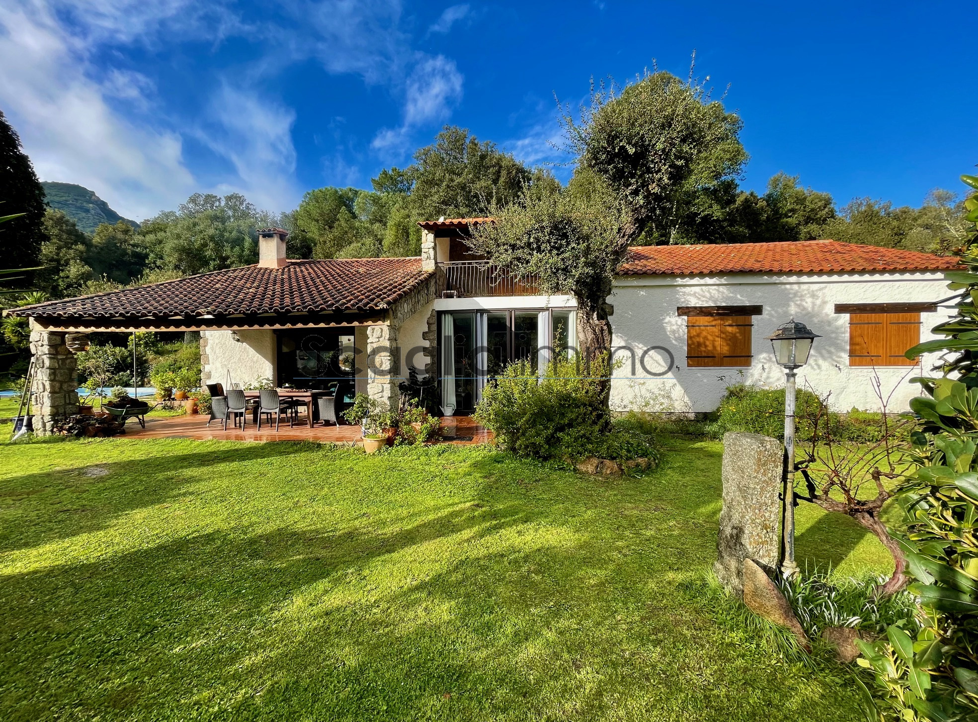 Agence immobilière de Scaglia Immo