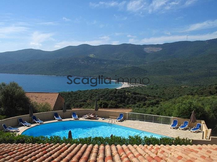 Agence immobilière de Scaglia Immo
